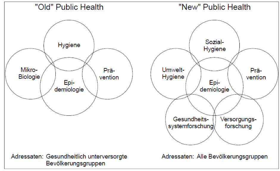 <span class="figure-cat-figure">Figure</span><span data-caption="Old vs New Public Health">Old vs New Public Health</span>